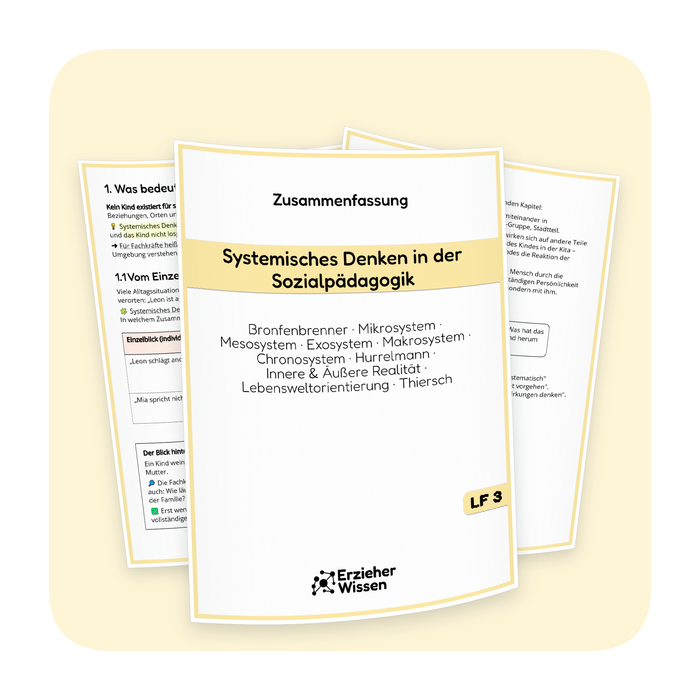 Systemisches Denken in der Sozialpädagogik