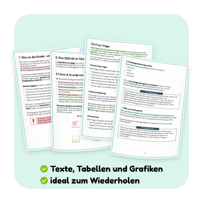 Seitenvorschau: Kinder- und Jugendhilfe - Trägerarten und Arbeitsfelder | ErzieherWissen