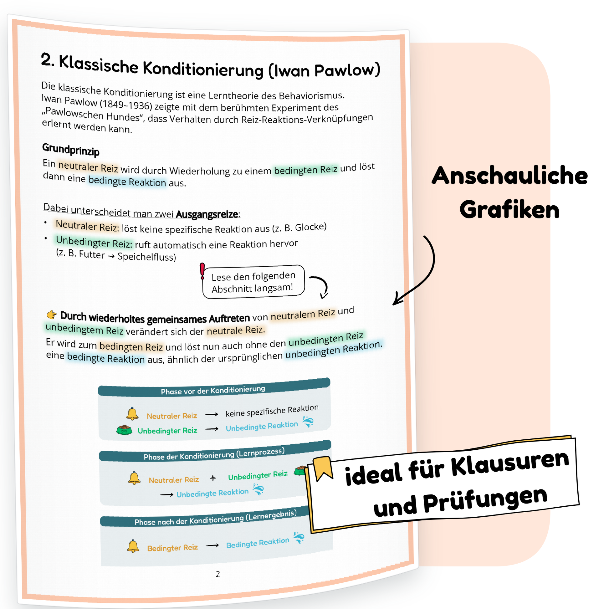 Beispielseite der PDF-Zusammenfassung „Lerntheorien Teil 1“ | ErzieherWissen