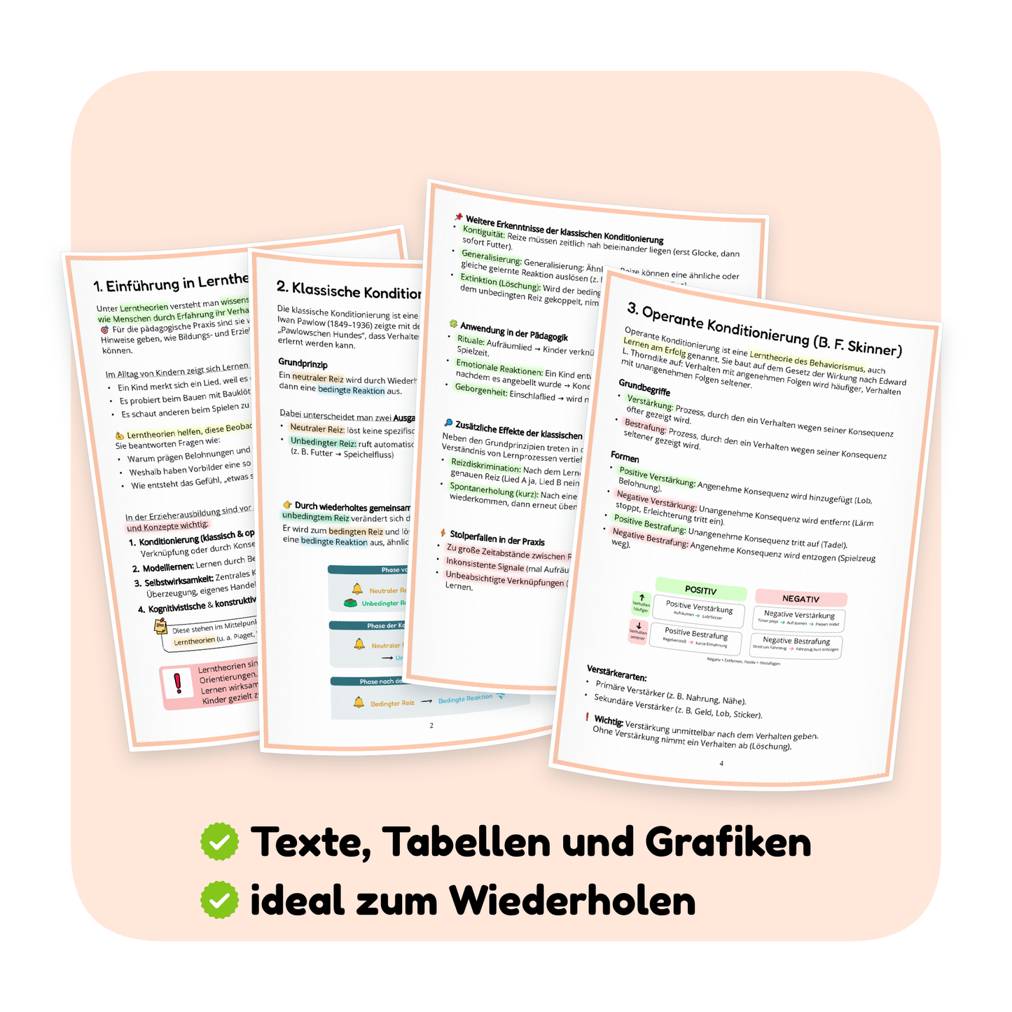 Seitenvorschau der PDF-Zusammenfassung „Lerntheorien Teil 1“ | ErzieherWissen