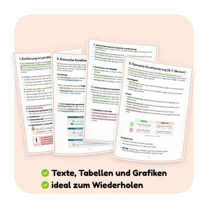 Seitenvorschau der PDF-Zusammenfassung „Lerntheorien Teil 1“ | ErzieherWissen